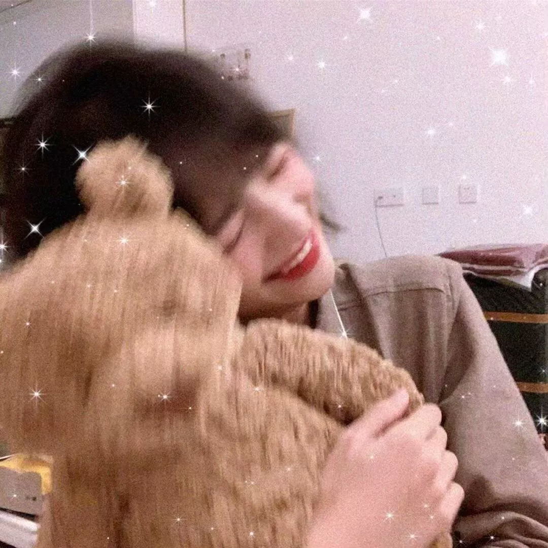 光荣之路上的狗